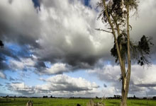 U20国主帅久尔杰维奇:首战赢球至关重要.