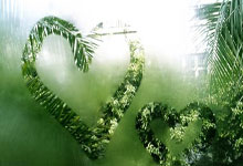 [德甲]迈赫勒劲射被挡 格尔哈特补射破门.