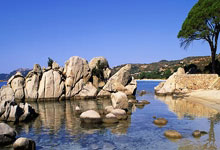 狗子28国际体育:CBA多队抢第六!广东队可能被“送”上积分榜第4,杜锋被迫打广厦.